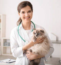 Doctor with cat